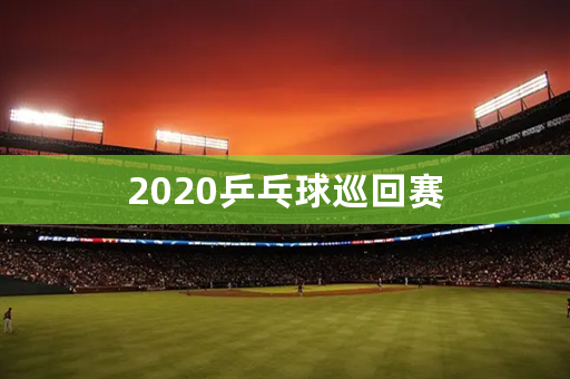 2020乒乓球巡回赛