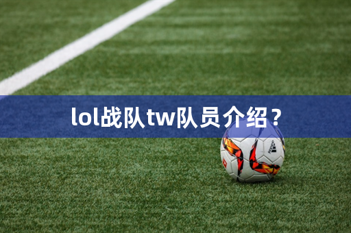 lol战队tw队员介绍？